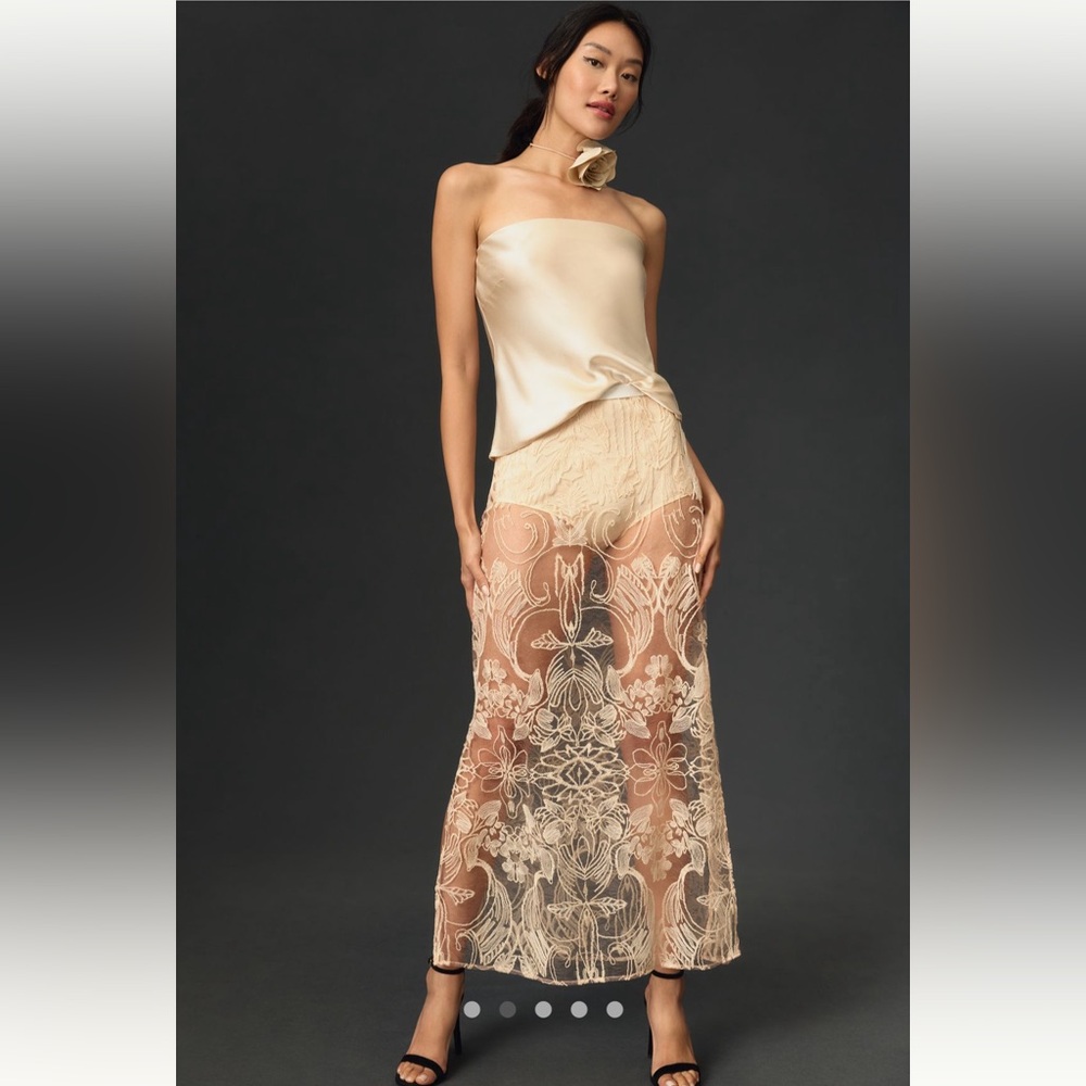 By Anthropologie Sheer Embroidered Skirt